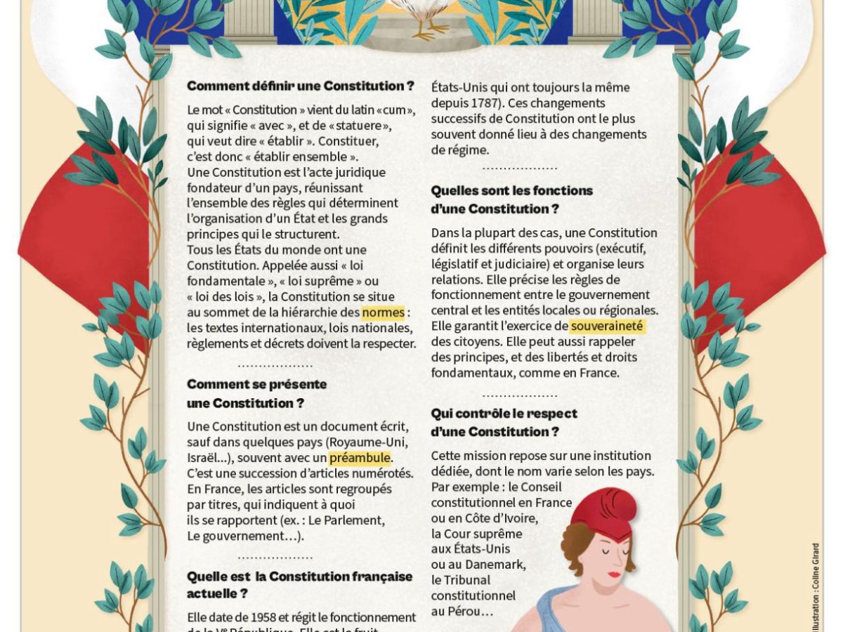 ABUS DE POUVOIR : LE Cl CONSTITUTIONNEL TRANSGRESSE LA SÉPARATION DES POUVOIRS ET L’ETAT DE DROIT –&nbsp;DOSSIER